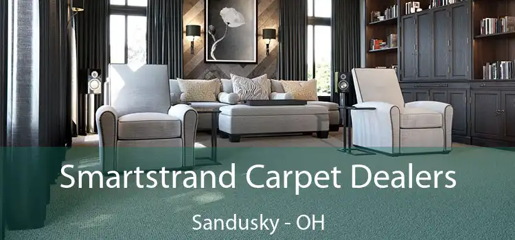  Smartstrand Carpet Dealers Sandusky - OH