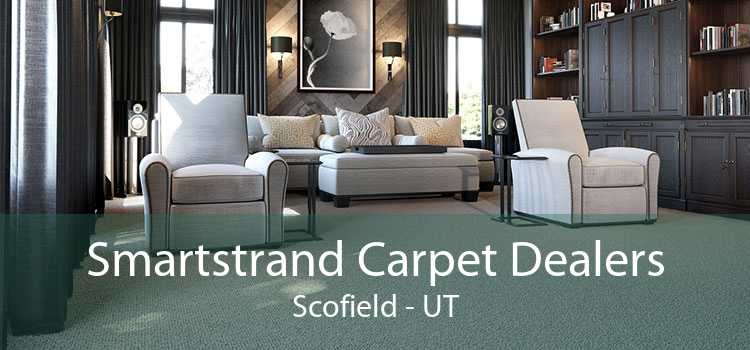 Smartstrand Carpet Dealers Scofield - UT