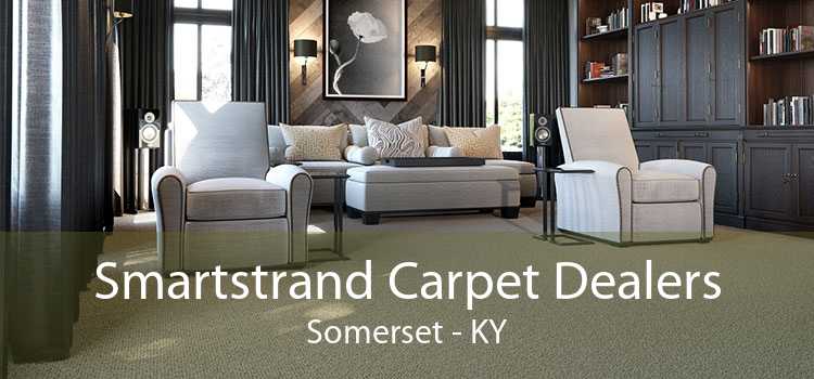 Smartstrand Carpet Dealers Somerset - KY