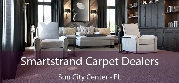  Smartstrand Carpet Dealers Sun City Center - FL