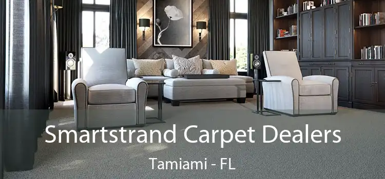 Smartstrand Carpet Dealers Tamiami - FL