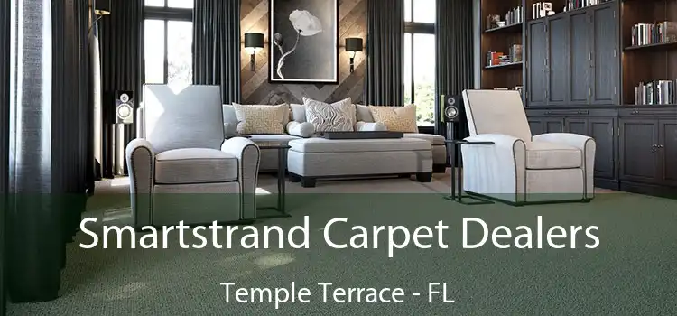 Smartstrand Carpet Dealers Temple Terrace - FL