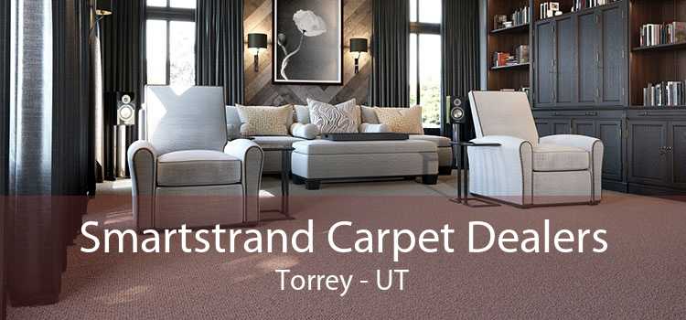 Smartstrand Carpet Dealers Torrey - UT