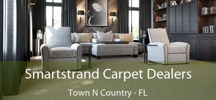  Smartstrand Carpet Dealers Town N Country - FL