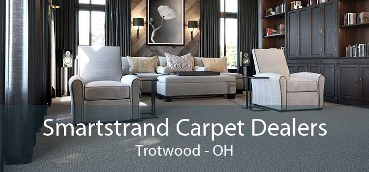 Smartstrand Carpet Dealers Trotwood - OH