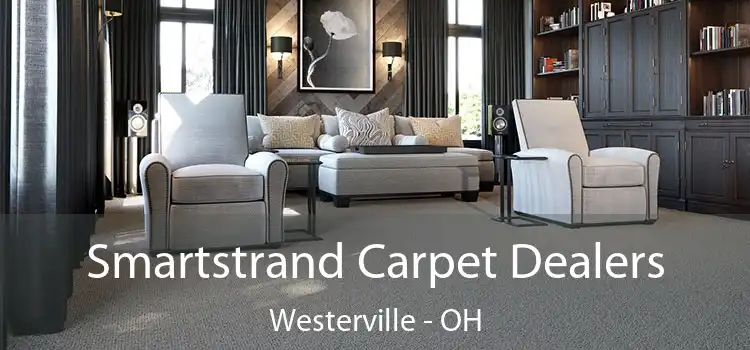  Smartstrand Carpet Dealers Westerville - OH