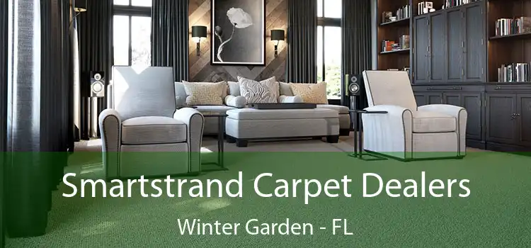  Smartstrand Carpet Dealers Winter Garden - FL