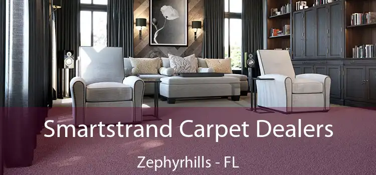  Smartstrand Carpet Dealers Zephyrhills - FL