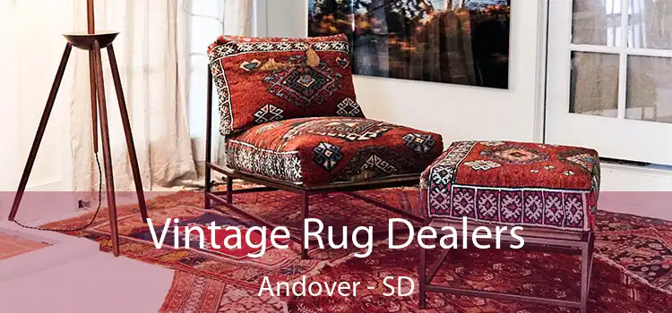  Vintage Rug Dealers Andover - SD