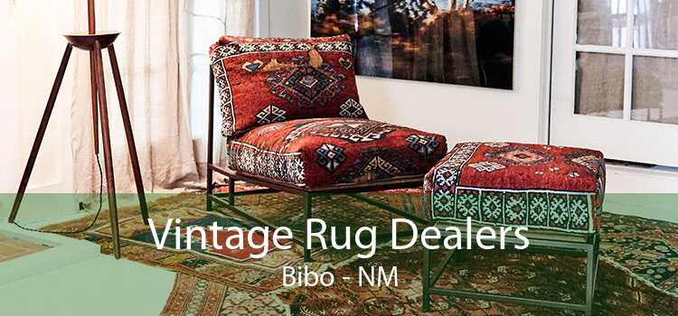 Vintage Rug Dealers Bibo - NM