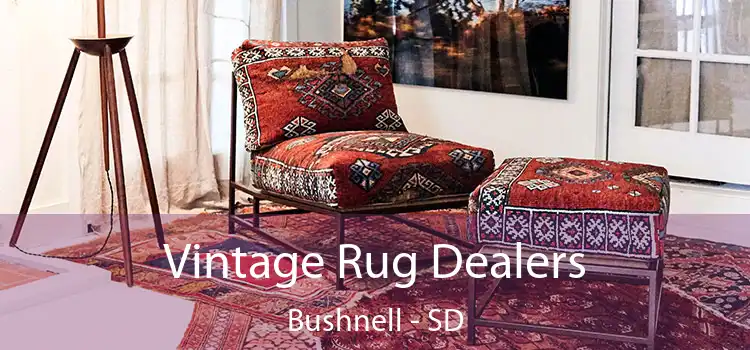  Vintage Rug Dealers Bushnell - SD