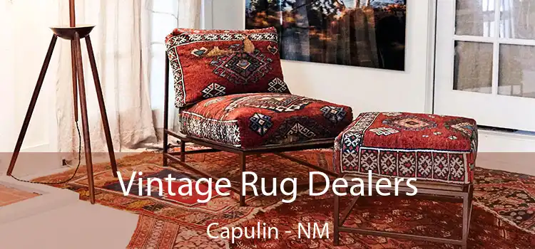 Vintage Rug Dealers Capulin - NM