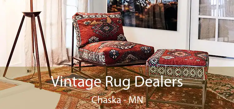  Vintage Rug Dealers Chaska - MN