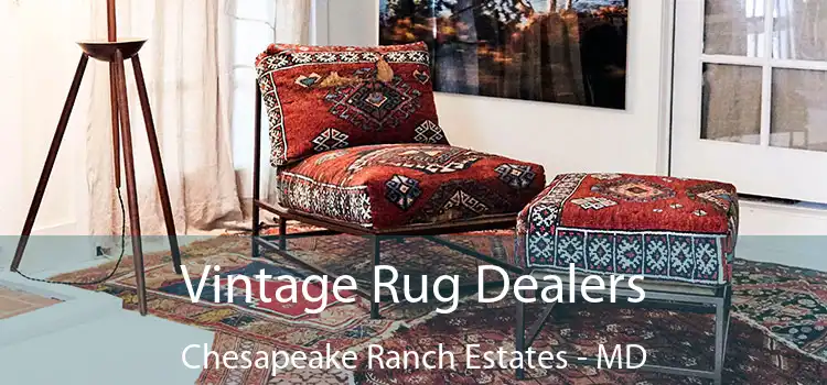  Vintage Rug Dealers Chesapeake Ranch Estates - MD