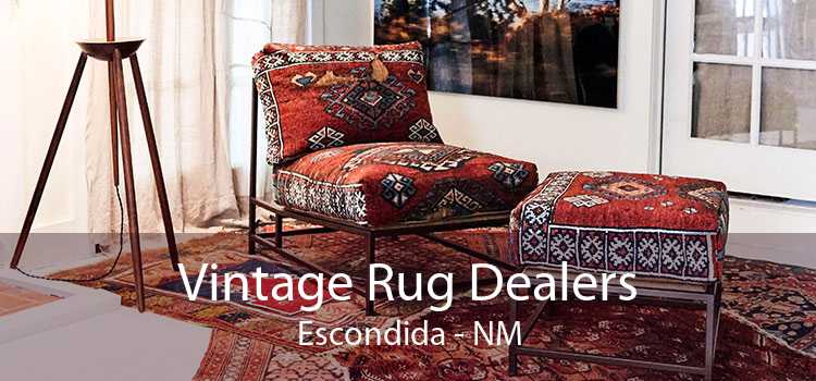 Vintage Rug Dealers Escondida - NM