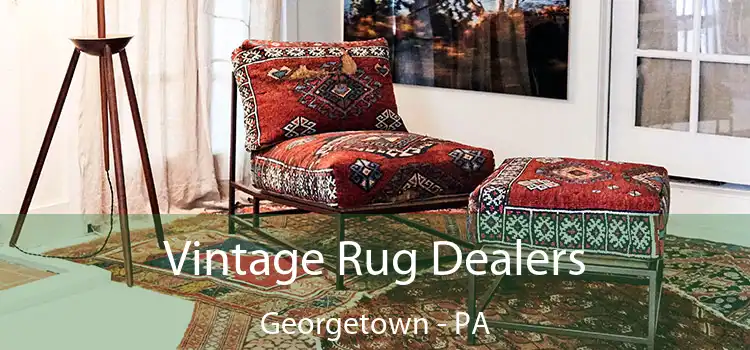 Vintage Rug Dealers Georgetown - PA