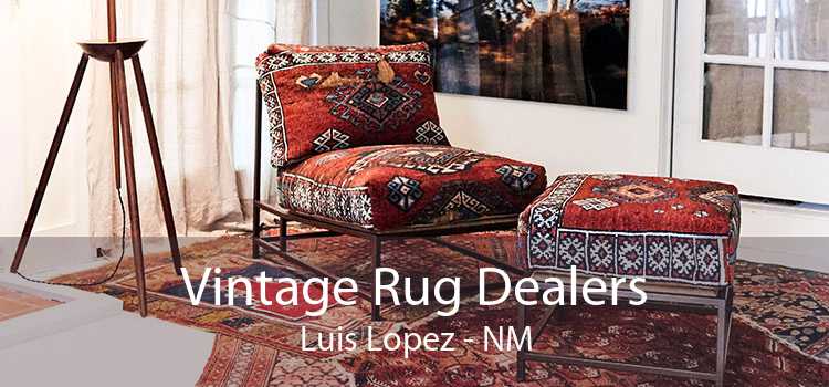 Vintage Rug Dealers Luis Lopez - NM