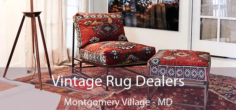  Vintage Rug Dealers Montgomery Village - MD