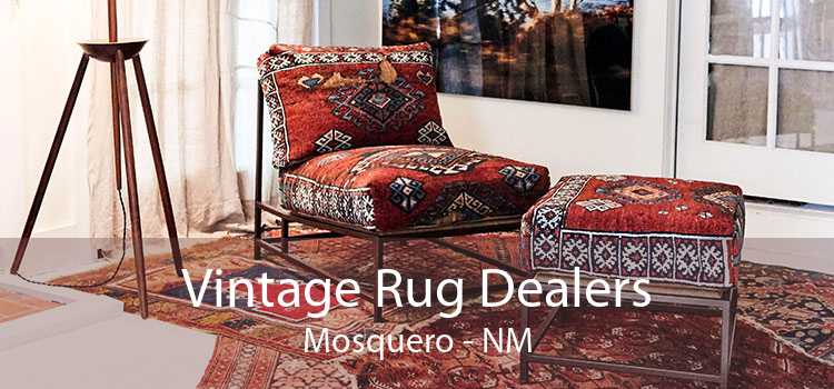 Vintage Rug Dealers Mosquero - NM