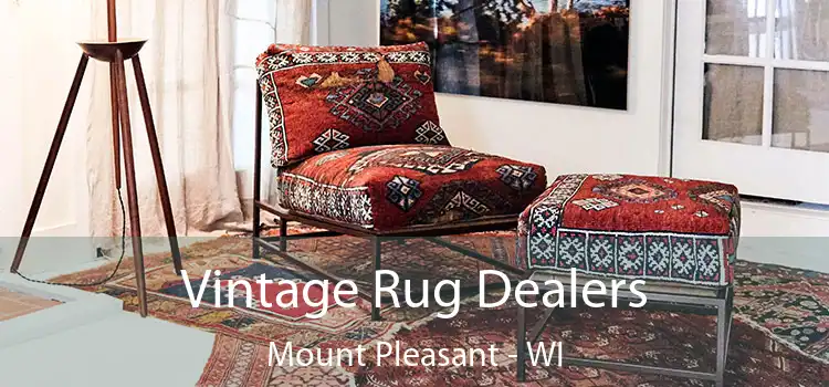 Vintage Rug Dealers Mount Pleasant - WI