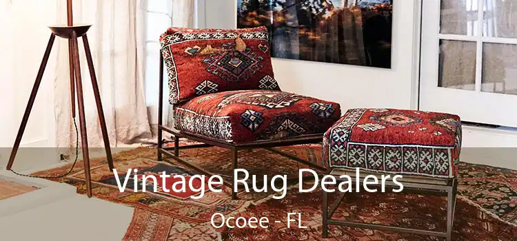  Vintage Rug Dealers Ocoee - FL