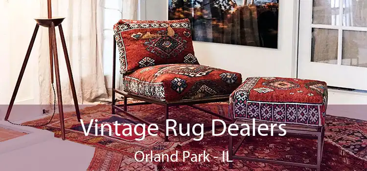 Vintage Rug Dealers Orland Park - IL