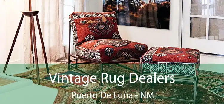  Vintage Rug Dealers Puerto De Luna - NM