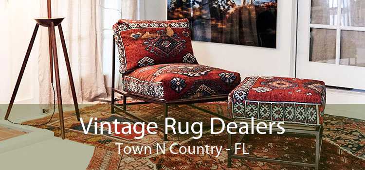Vintage Rug Dealers Town N Country - FL