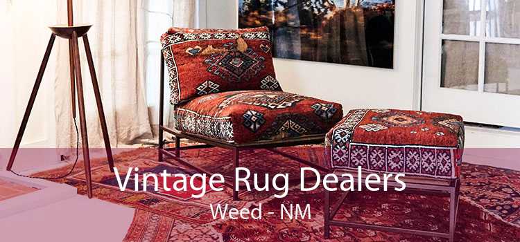 Vintage Rug Dealers Weed - NM