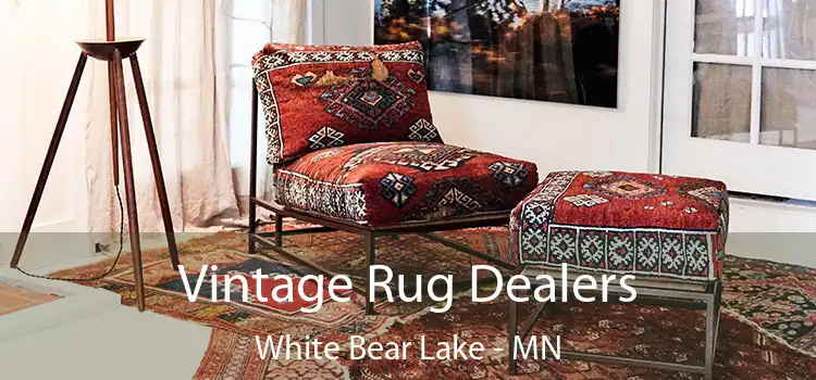 Vintage Rug Dealers White Bear Lake - MN