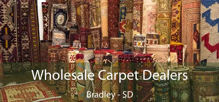  Wholesale Carpet Dealers Bradley - SD