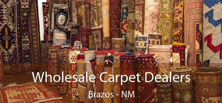 Wholesale Carpet Dealers Brazos - NM