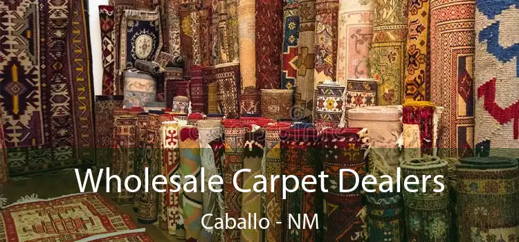  Wholesale Carpet Dealers Caballo - NM