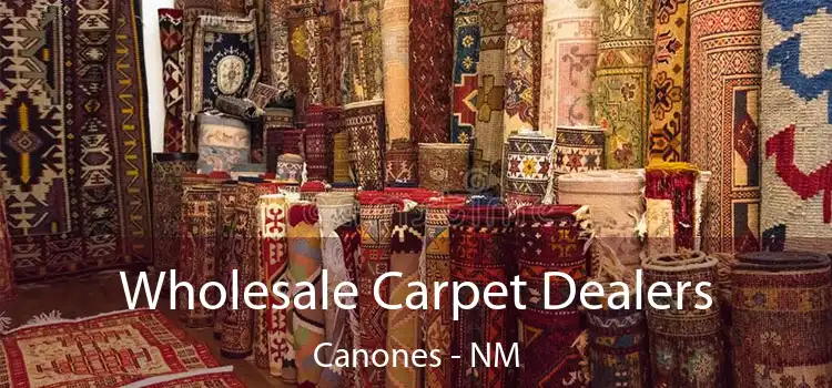  Wholesale Carpet Dealers Canones - NM