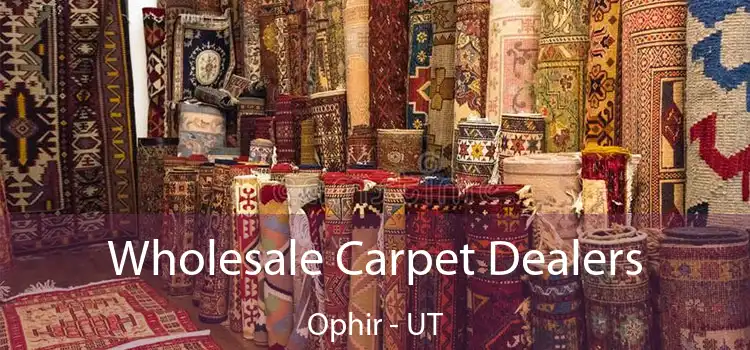  Wholesale Carpet Dealers Ophir - UT