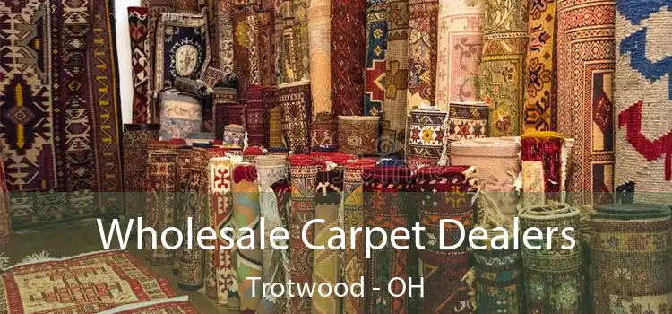  Wholesale Carpet Dealers Trotwood - OH