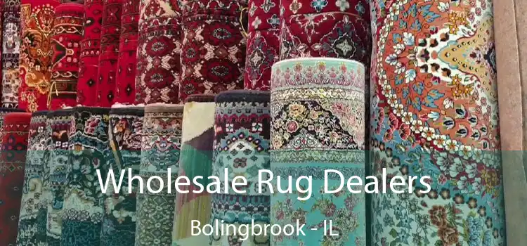  Wholesale Rug Dealers Bolingbrook - IL