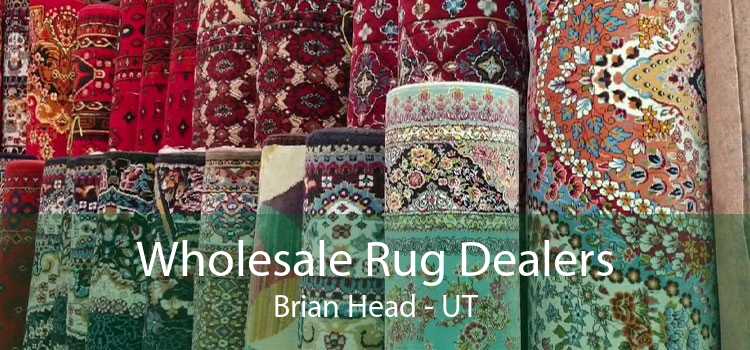 Wholesale Rug Dealers Brian Head - UT