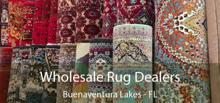  Wholesale Rug Dealers Buenaventura Lakes - FL