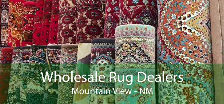 Wholesale Rug Dealers Mountain View - NM
