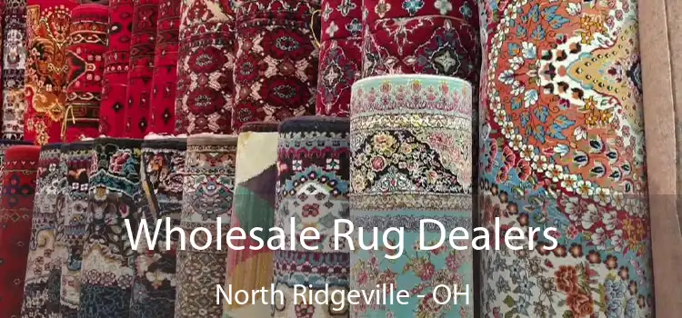  Wholesale Rug Dealers North Ridgeville - OH
