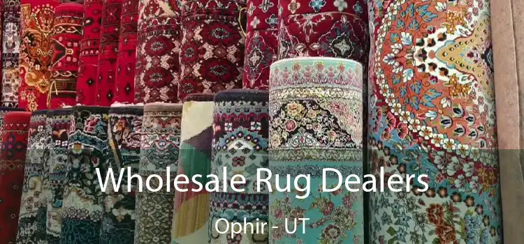Wholesale Rug Dealers Ophir - UT