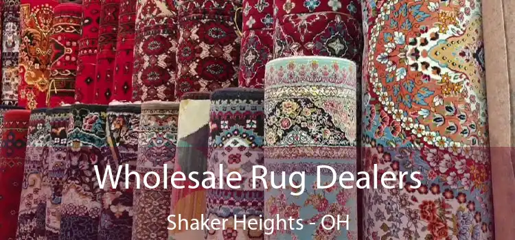  Wholesale Rug Dealers Shaker Heights - OH