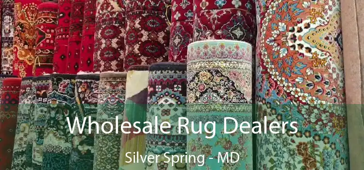Wholesale Rug Dealers Silver Spring - MD