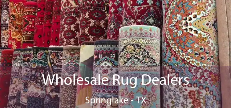  Wholesale Rug Dealers Springlake - TX