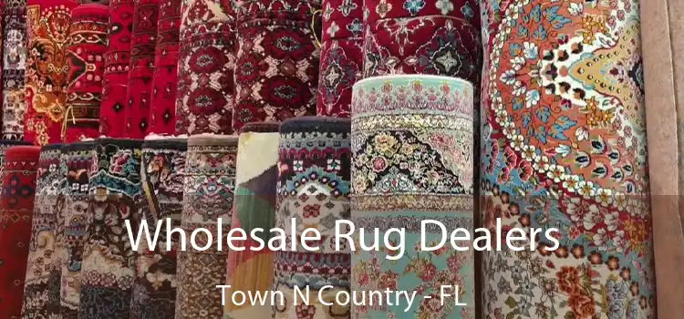 Wholesale Rug Dealers Town N Country - FL