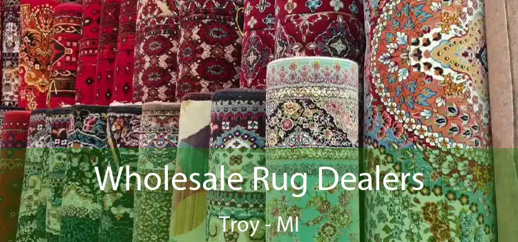  Wholesale Rug Dealers Troy - MI