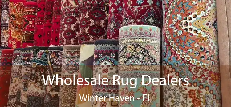  Wholesale Rug Dealers Winter Haven - FL