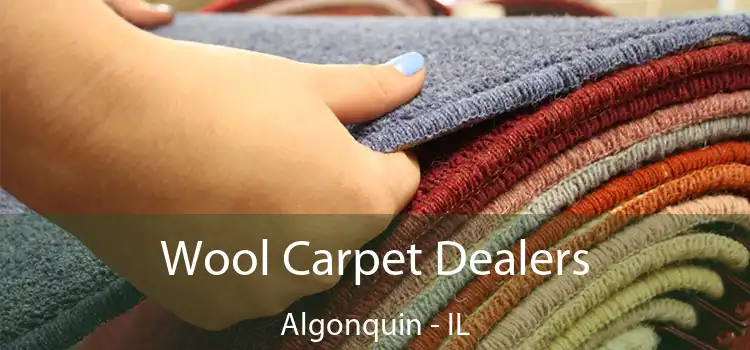  Wool Carpet Dealers Algonquin - IL