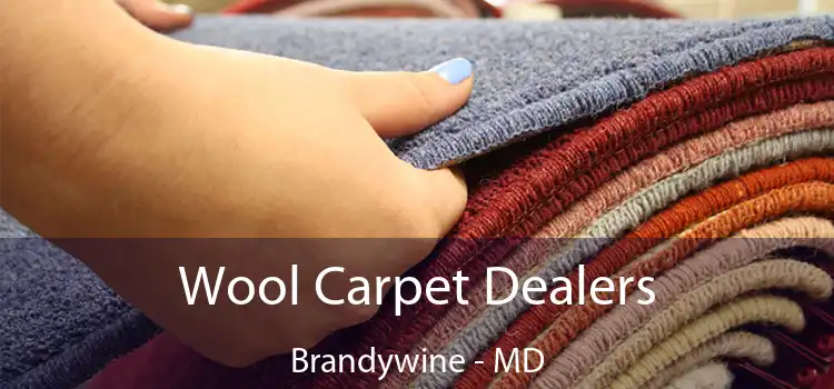  Wool Carpet Dealers Brandywine - MD